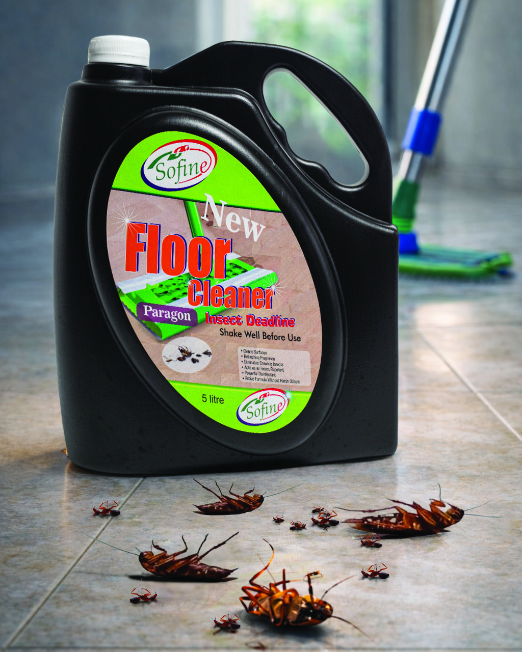 Paragon on floor with mop — insect control